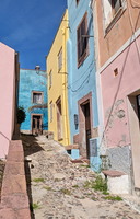 Bosa
