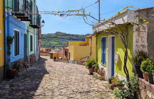 Bosa