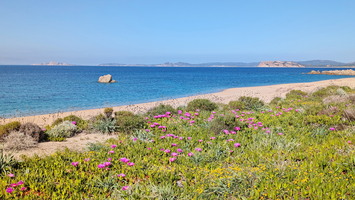 Plage de Vignola