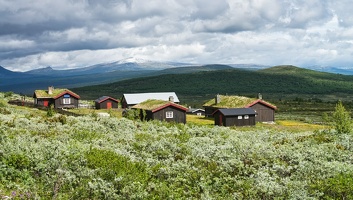 langsua-5