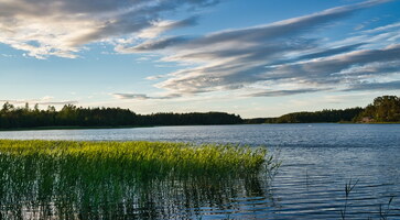 rauma-42
