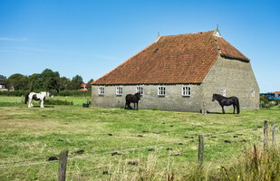 ameland-46