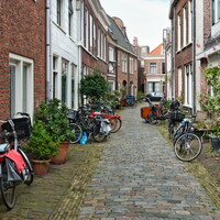 haarlem-43