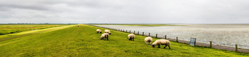 pano-wadden2