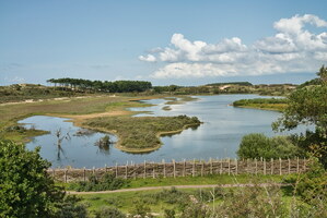 parc-zuid-Kennemerland-3