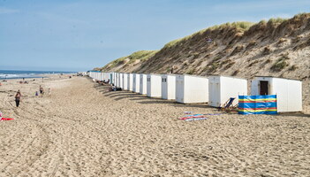 texel-6