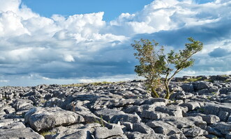yorkshire-dales-28