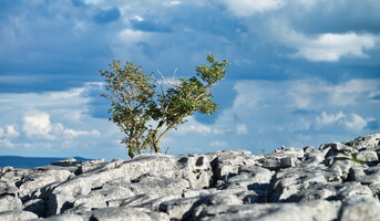 yorkshire-dales-21