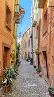 Bosa
