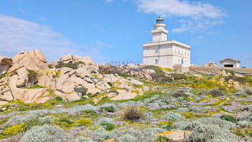 Capo Testa