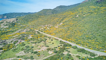 Route côtière