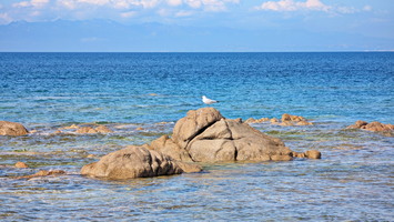 Plage de Vignola