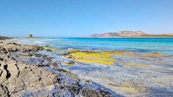 Plage de la Pelosa