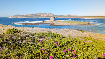 Plage de la Pelosa