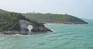  DSC2803