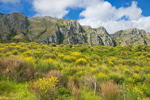 Campania, Cilento-37
