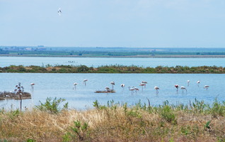 Pouilles, Terra di Bari,marais salants-8