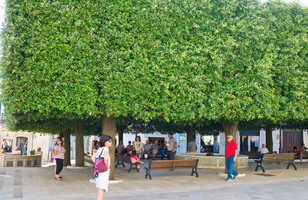 Pouilles,Vallée d\'Itria, Alberobello-43