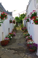 Pouilles,Vallée d\'Itria, Alberobello-60