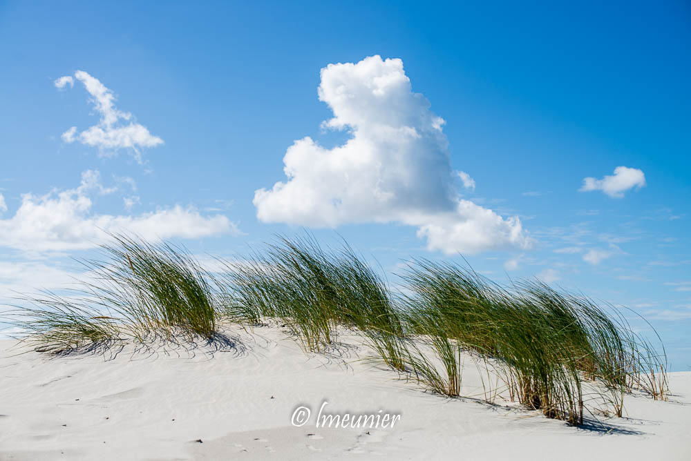 ameland-21