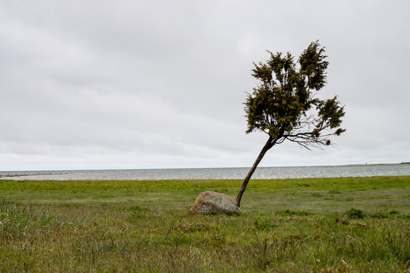 Île de Saaremaa