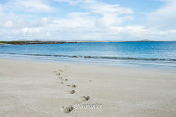 A moi la mer, le sable chaud...