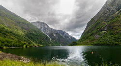 Le Nærøyfjorden