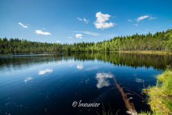 Balade dans le parc du Seitseminen