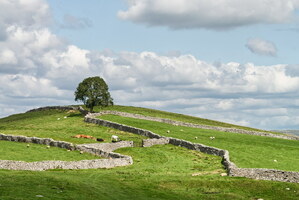 yorkshire-dales-138