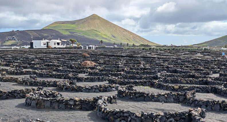 Vignoble de Lanzarote Vignoble de Lanzarote