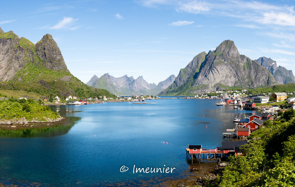 reine-1.jpg