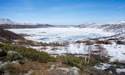 plateau du hardangervidda 