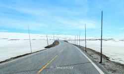 plateau du hardangervidda 