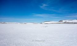 plateau du hardangervidda 