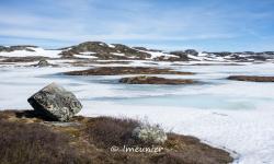 plateau du hardangervidda 