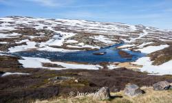 plateau du hardangervidda 