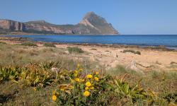 Capo San Vito 