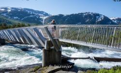 la route touristique du Gaularfjellet 