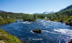 la route touristique du Gaularfjellet 