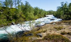 la route touristique du Gaularfjellet 