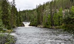 Parc d'Oulanka 