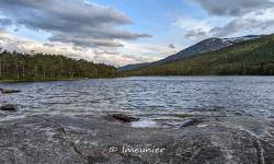 Balade le soir au lac 