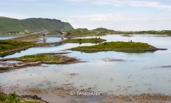 lofoten 