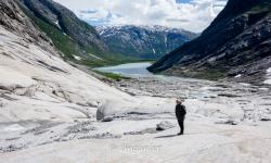 Glacier du Nigardsbreen 