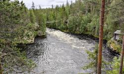 Parc d'Oulanka 