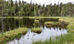 Parc d'Oulanka 