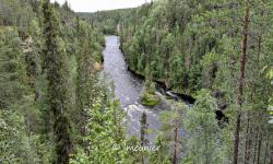 Parc d'Oulanka 