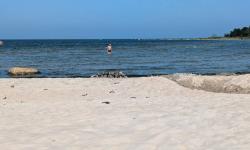 Plage à la pointe de Purekkari Ne 