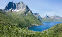 île de senja 