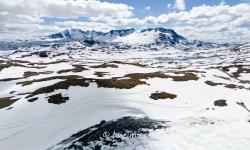 route touristique du sognefjellet 